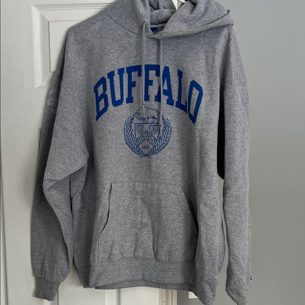 Champion Gray Hoodie with Blue Buffalo Print